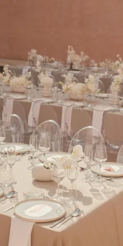 353050381_727208359413992_911362053834446142_n