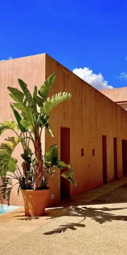 459723069_10160855075834032_8907021240316583972_n