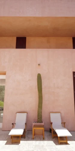 Neuendorf-House-©-MSR-13